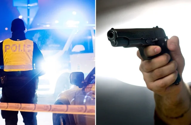 Clan crime a known phenomenon in Germany – News
