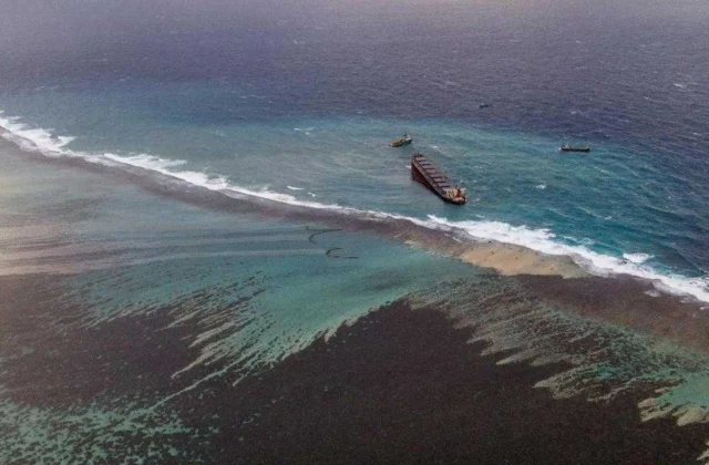 Following the oil spill in Mauritius, there is concern about biodiversity