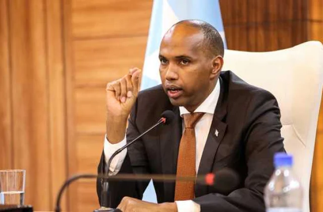 Khaire’s departure means Somalia has a minor scapegoat, but the original problem persists