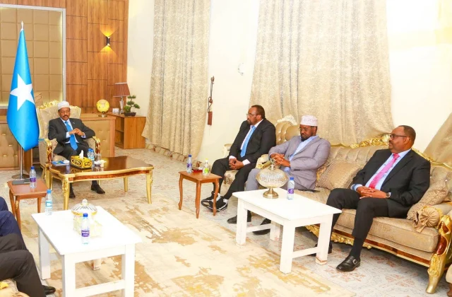Muxuu ku saabsan yahay shirka Madaxweyne Farmaajo, DG &