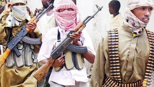 The army kills several Al-Shabaab militants in central Somalia