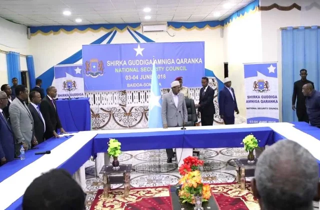 Waa maxay Nidaamka Matelaadda Isu Dheelitiran?