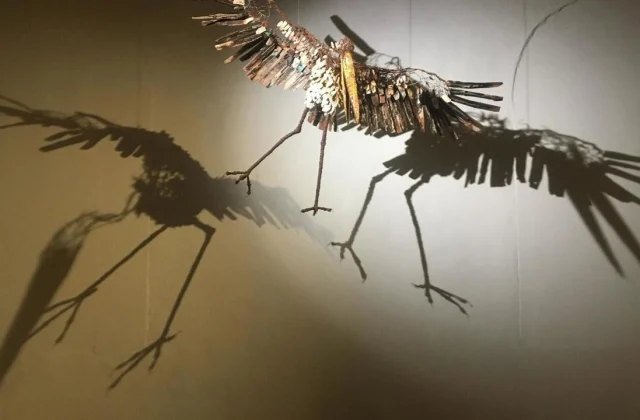 birds in the spotlight at the “Volatile” exhibition in Dakar