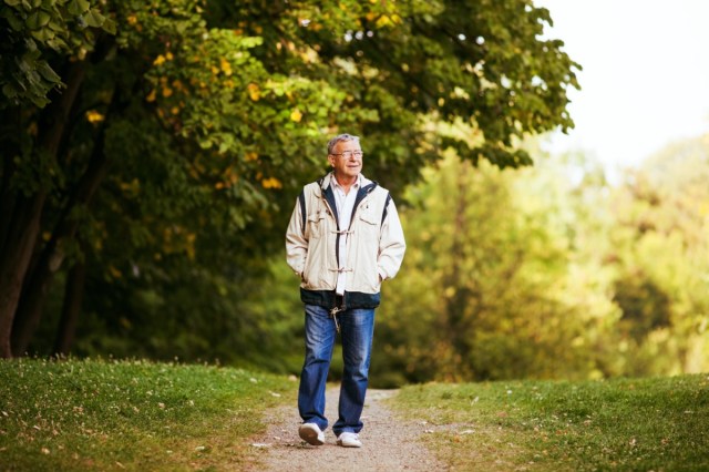 Happy senior man walking and relaxing in the park