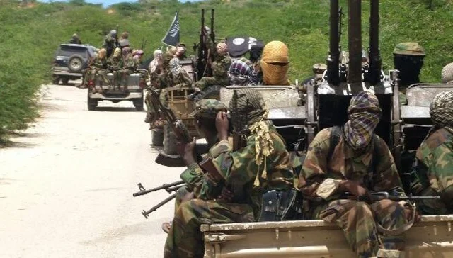 Al-Shabaab regains key metropolis after transient conquest of Somali
