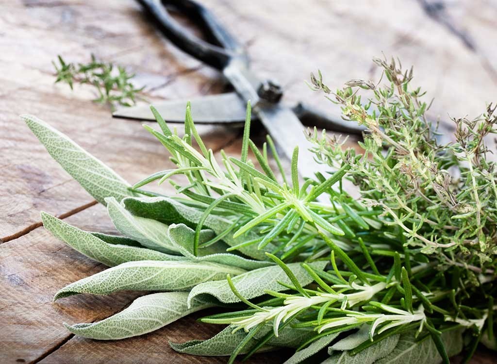 An Alarming Quantity of This Fashionable Herb Is Tampered With, New Research Finds
