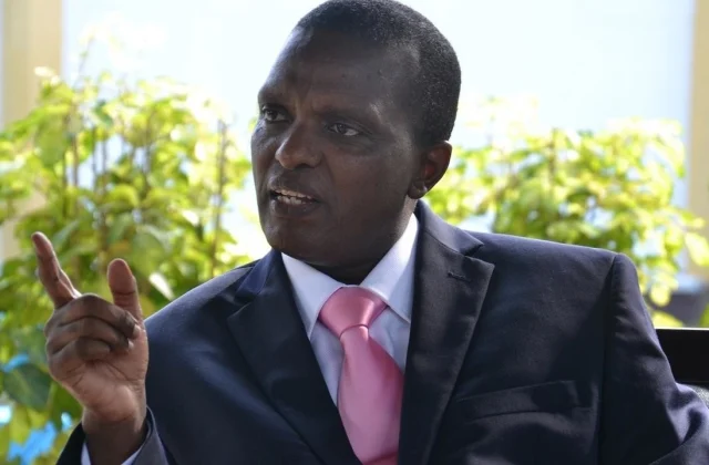 Azarias Ruberwa again explained to the MEPs