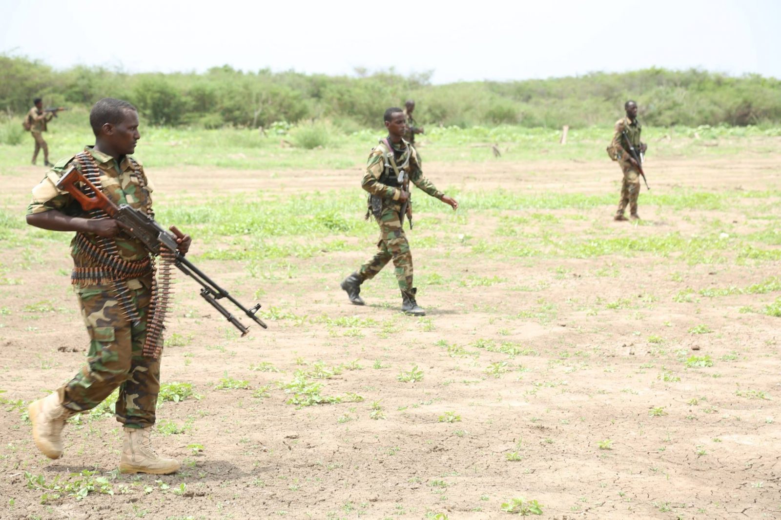 DFS oo sheegtay in ay dishay Madaxii howlgelinta Al-Shabaab