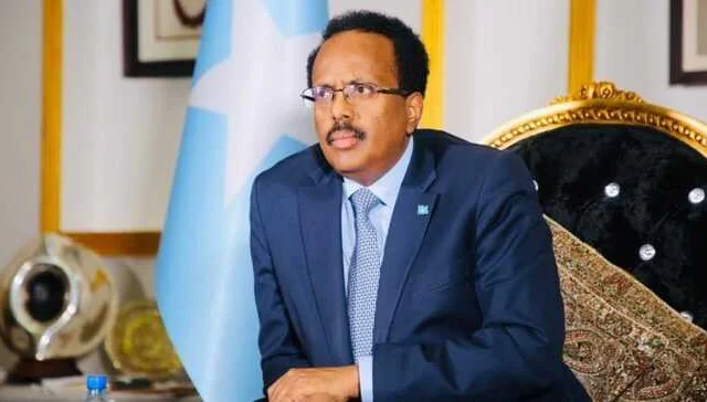 Farmajo blew as much as hyperlink journalists in Somalia