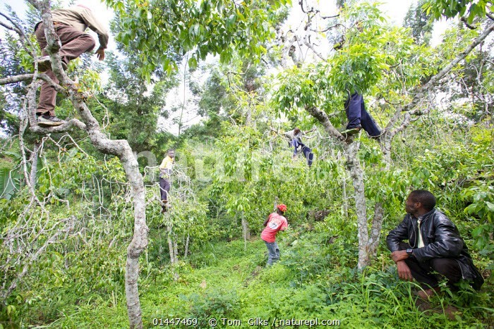 Ganacsatadda Khaadka Kenya oo ka walaacsan in Suuqooda
