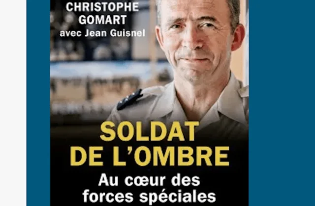 In Mali: “If the French military leaves, the jihadists will shortly return to the south”