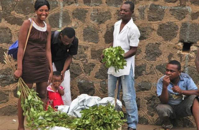 Madagascar: khat and Diego-Suarez