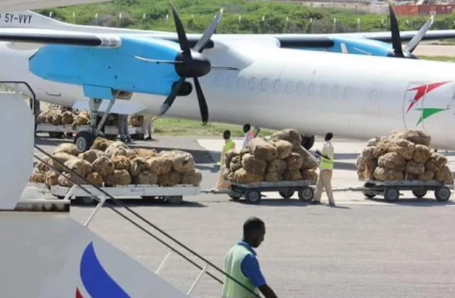 Maxay tahay sababta Dowladda Soomaaliya u ogolaatay Khaadka