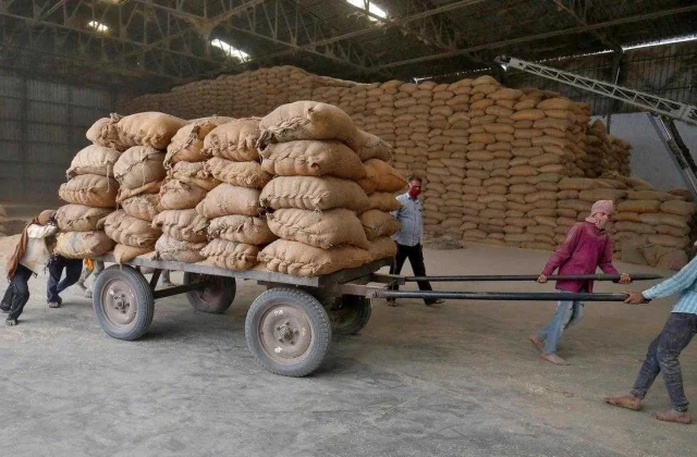 Rice: India establishes itself as Africa’s leading supplier