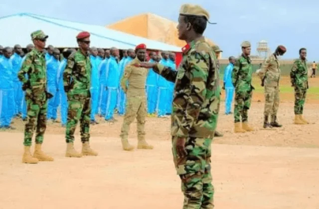 Somalia’s president fires chief of particular forces