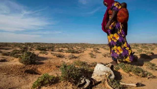 The unfolding humanitarian disaster in Somalia requires pressing motion