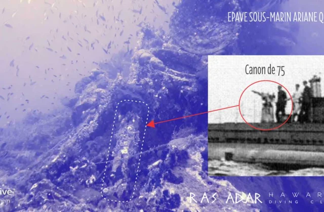 Tunisia: discovery of the wreck of a French military submarine World War I.