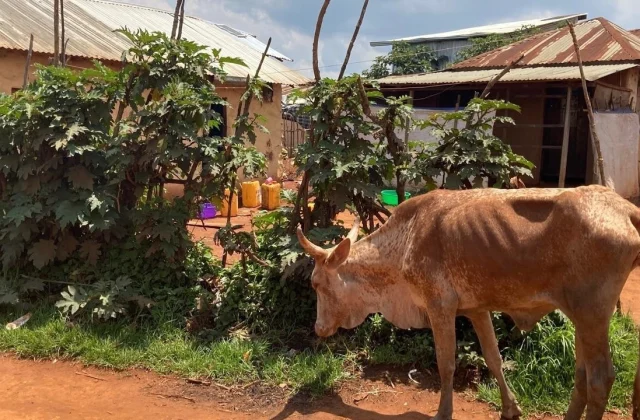 in the highlands, all communities that are victims of insecurity