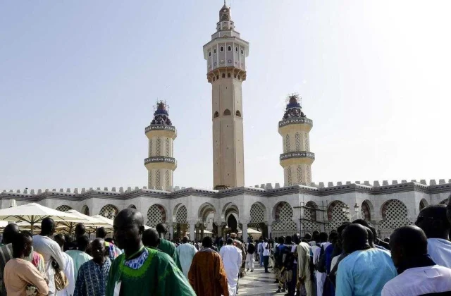 the cattle still sent to the Grand Magal in spite of the difficulties