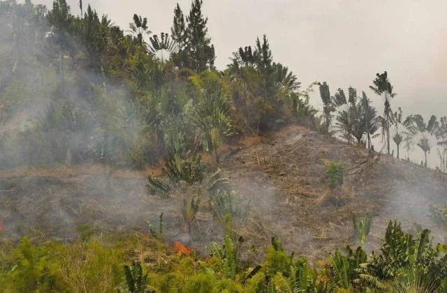 these fumes that poison the people of Malagasy