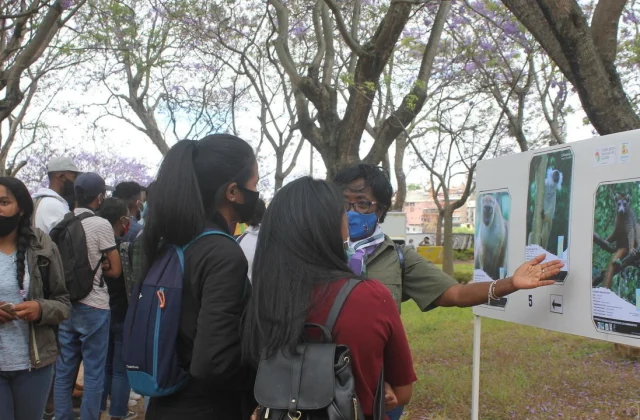 tourist guides mobilize to protect lemurs.