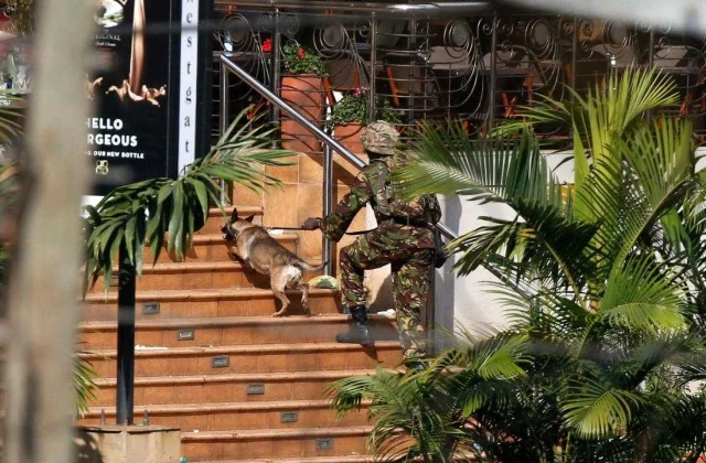 verdict awaited in the trial against alleged accomplices in the Westgate attack in 2013