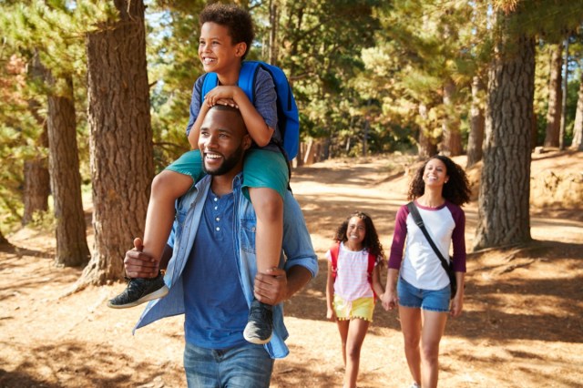 family on a hiking adventure through the forest