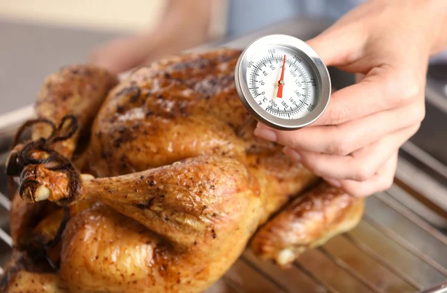 17 Main Methods You are Cooking a Turkey Flawed