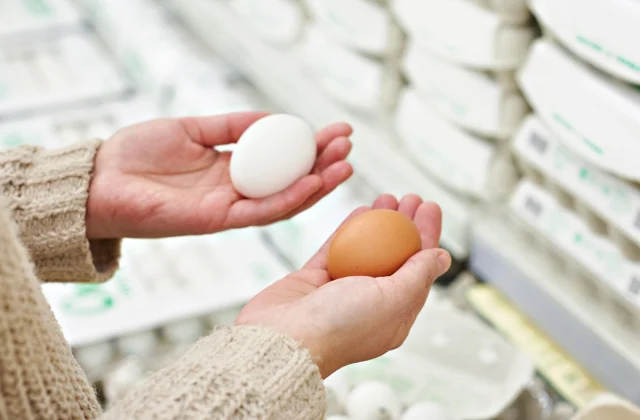 20 Issues Everybody Ought to Know About Eggs