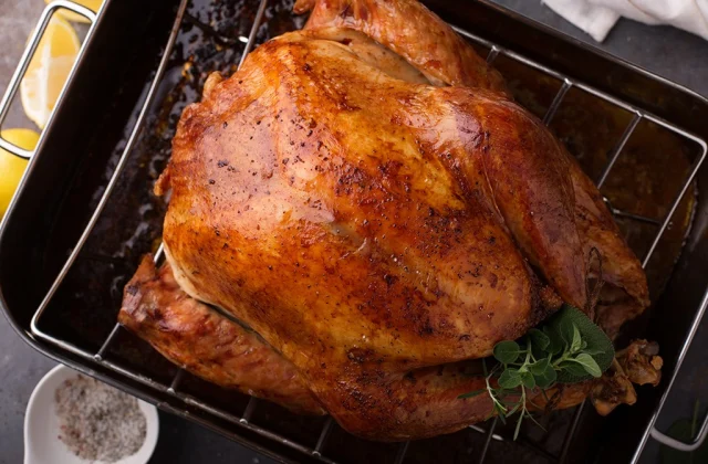 25 Finest-Ever Turkey Cooking Suggestions