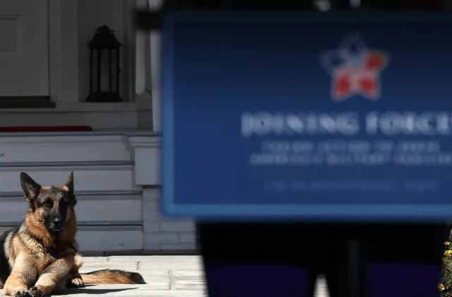 Biden oo lug ka jabay isaga oo Eeygiisa la ciyaaraya! –