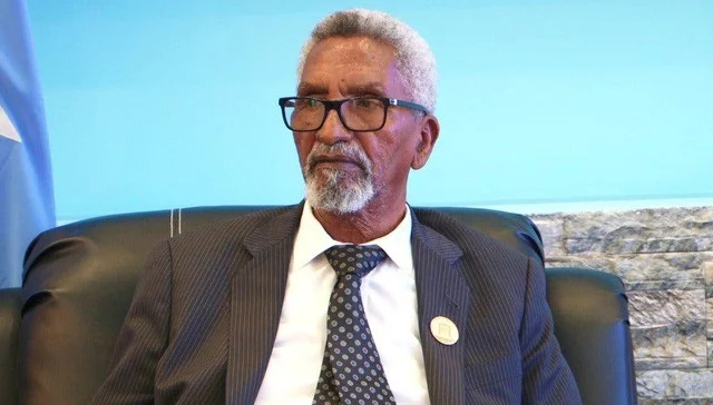 Impasse as Senate speaker designates parallel Somaliland
