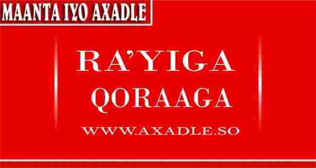 Can Somalia get-rid-of clan and identification politics?