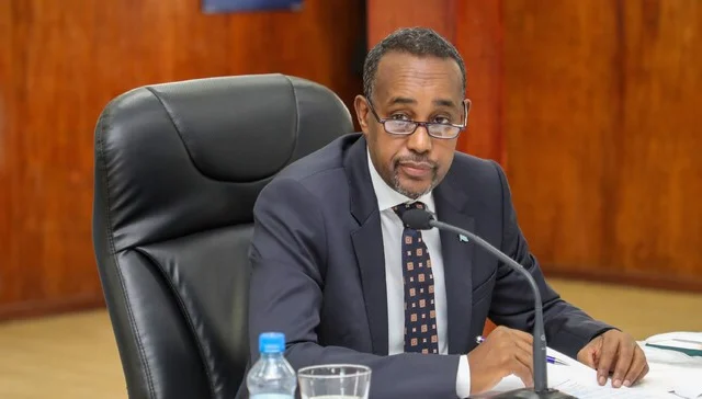 Election group: The Somali Prime Minister mustn’t sweep complaints below the rug
