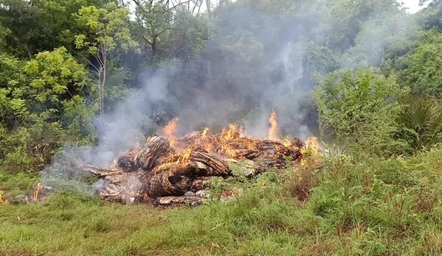 Ganacsatada Kenya oo ku qaylinaya in la furo xadka gobolka
