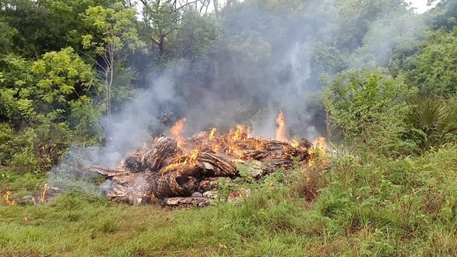 Ganacsatada Kenya oo ku qaylinaya in la furo xadka gobolka