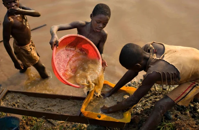 Business tries to observe the artisanal mining of cobalt within the Democratic Republic of Congo