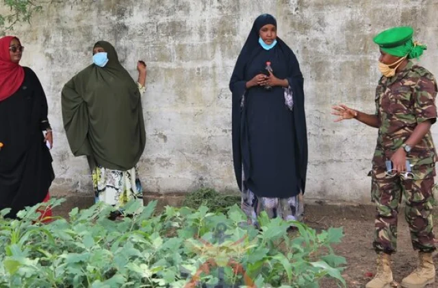 KDF units up demonstration farms to extend horticulture in