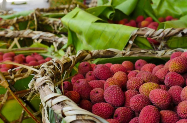 Madagascar: Historical past of Litchi Gasy (3/3 Collection)