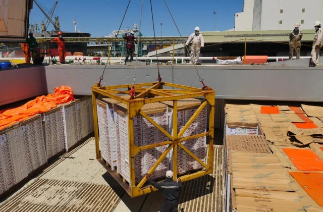 Madagascar: the large logistics of the lychee marketing campaign (Sequence 2/3)