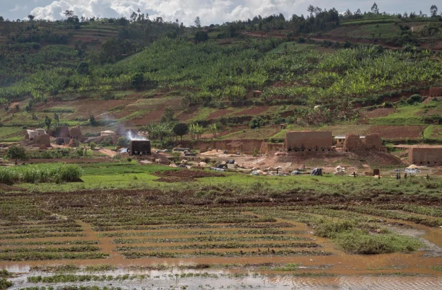 Rwanda: with the impoverishment of households, youngsters proceed to work