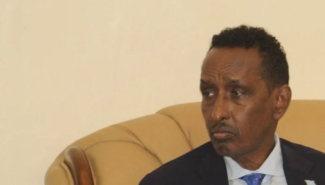 Somalia rejects “personal” declaration of Ethiopian struggle in Tigray