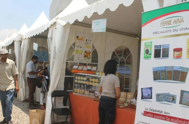 a creativity fair to help small businesses