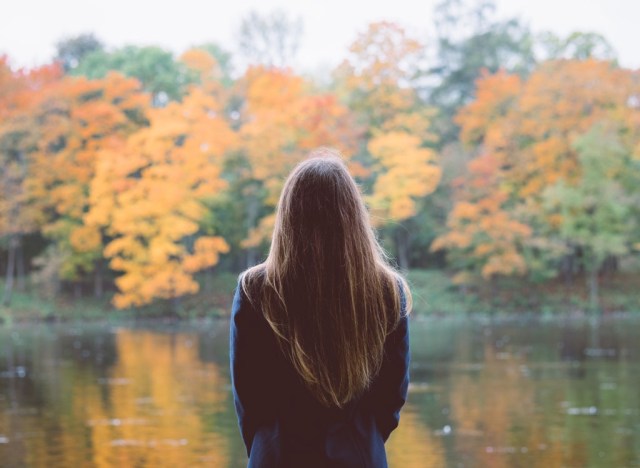 autumn landscape