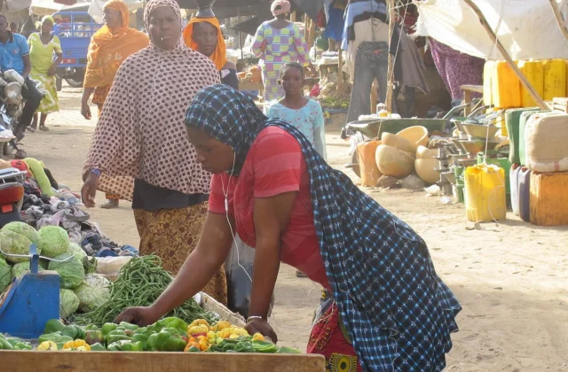 A complaint against the Malian state for criminalizing excision