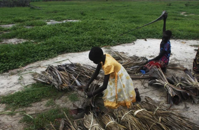 At the very least 30% of youngsters undergo from acute malnutrition in South Sudan