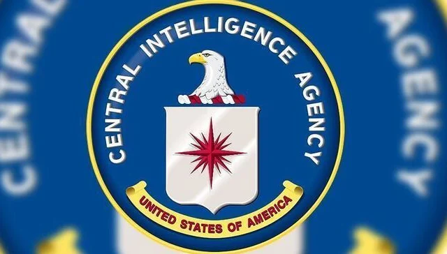 CIA officer, 4 Somali troopers killed throughout assault on Al-Shabaab