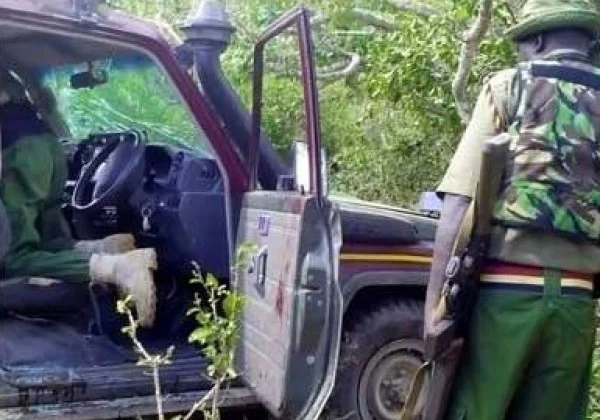 Chiefs mutilated head came upon after the abduction of Al-Shabaab in Kenya