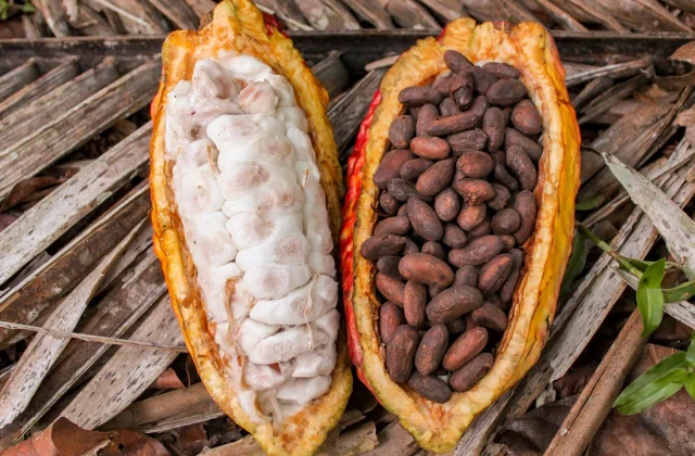 Côte d’Ivoire and Ghana are rebelling in opposition to two American chocolate makers