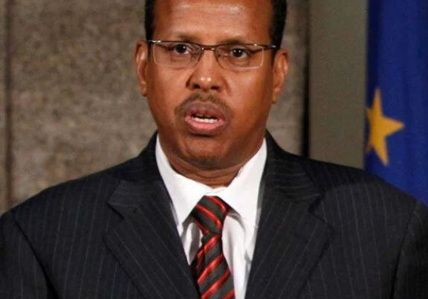 Djibouti sends fact-finding group to Somalia-Kenyan border amid stress